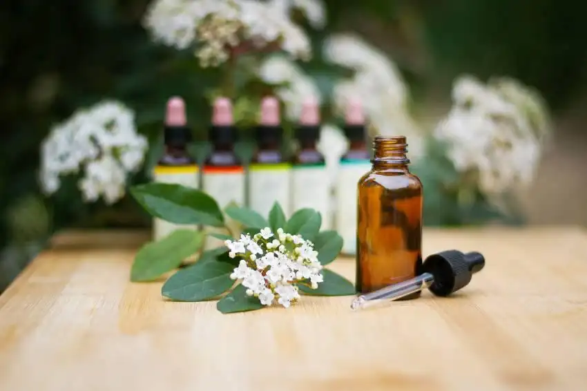 Terapeuta de Flores de Bach